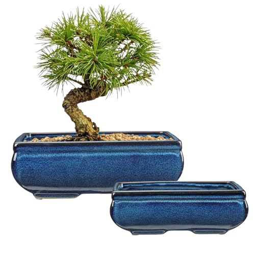 Villa Como Set of 2 Large Bonsai Pots with with Drainage Hole, 9.8"&7.4" | Blue Glazed Ceramic Bonsai Tree Pots, Shallow Rectangle Bonsai Planter for Indoor Outdoor Plants, Succulents, Cactus, Flowers - color: Blue, size: 10"x7"x3.3"&7.4"x5.1"x2.5"