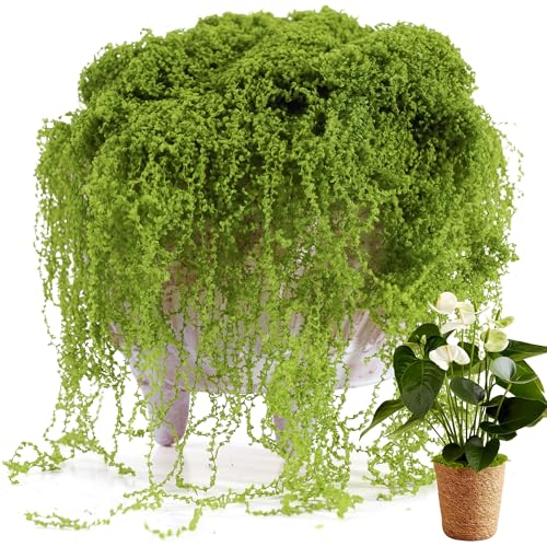 USMOLA Fake Moss for Potted Plants Indoor, 7OZ Green Moss for Crafts - Realistic Faux Grass Decor for DIY, Terrariums, Fairy Gardens & Table Centerpieces Home Decor (Light Green) - color: Light Green
