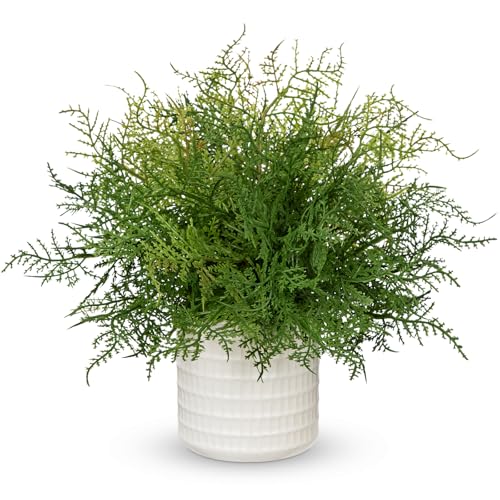 Hollyone 13" Artificial Cedar Faux Fern in Pot Fake Cedar Ferns for Outdoors Indoor Small Ferns Faux Potted Plants Greenery Bush for Door Patio Garden Farmhouse Windowsill Office Room Home Decor - color: Small #2