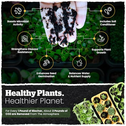 Wakefield Biochar Blend with CarbonBoost™ Technology – Enhanced Water & Nutrient Retention for Raised Bed Garden Soil - Ultimate Organic Potting Soil Mix for Vegetables, Gardens and Houseplants - 4qt