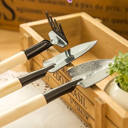 3Pcs Gardening Tool Set, Metal & Wooden Hand Tools for Indoor and Outdoor Planting Mini Rake Small Gardening Tools