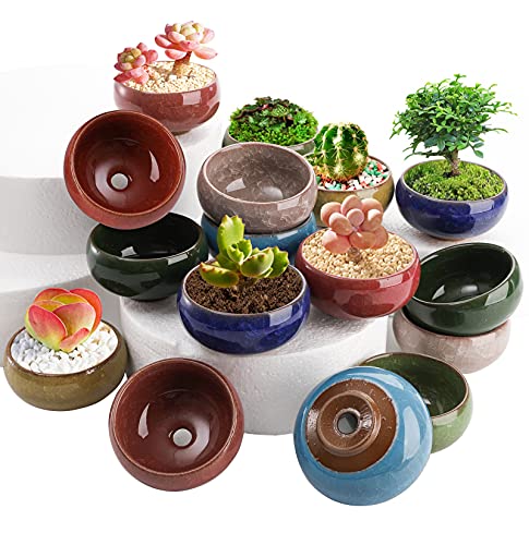 TOPZEA 16 Pack Mini Succulent Planter Pot, 2.5 Inch Ceramic Ice Crack Cactus Seed Starter Pots Micro Landscape Planter with Drainage Hole & Bamboo Tray for Moss Plant, Baby Succulent, Herb