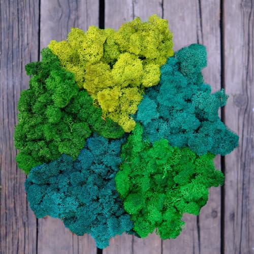 Preserved Reindeer Moss Natural Green DIY Kit Gardenning Art Wall Decor Florist Decor Easter Table Decor Wedding - color: Style-26, size: 1 lb