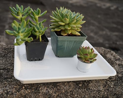 VUWEZ Rectangle Plant Tray, Plant Drip Tray, Plant Pot Saucers, Plant Germination Trays, Plant Saucers, 14.5'' x 11'' x 1.5'' (2 pack), Creamy White - color: Creamy White, size: 14.5'' x 11'' x 1.5'' (2 pack)