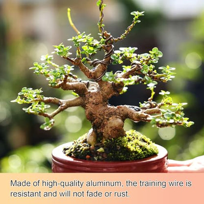 M METERXITY 1-Pack Bonsai Training Wire, 1mm x 49ft/15m Anodized Aluminum Bonsai Tree Wire for Fine Trunk/Gardening Branch/DIY Crafting [Brown] - color: Brown, size: 1mm x 49ft/15m