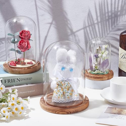 3 Pcs Cloche Glass Dome with Wood Base, 5.6"x7.7"/4.8"x6.9"/3.9"x5.3", Glass Cloche Dome Display with Handle for Cake, Plant, Wedding Party, Bell Jar Transparent