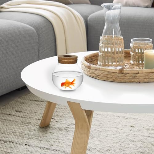 Plant Propagation Station, Hydroponic Glass Container Vase Jars, with Saucer for Desks, Houses, Garden Decorations, Home Kitchen Decorations and Gifts for Plant Lovers