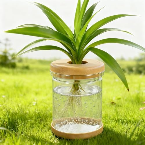 Plant Propagation Station, Separated Desktop Flower Vase for Living Room and Bedroom, Plant Hydroponic Vases, Water Plant Jars, Gardening Gifts for Women Mom Plant Lovers