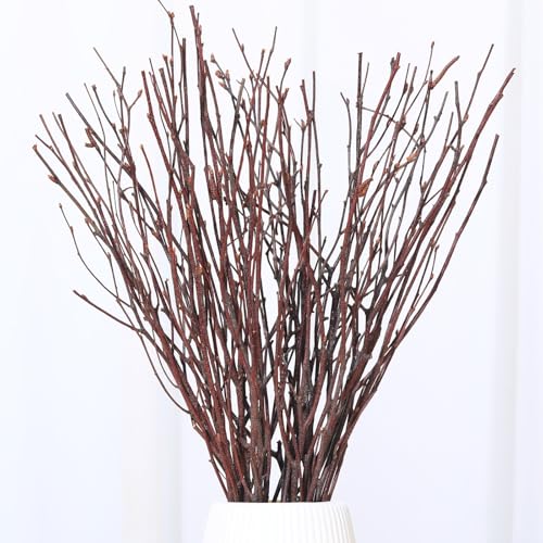 30 Pcs Real Dried Birch Twigs - 17" Natural Decorative Birch Branches for Vase, Centerpiece, Sticks for DIY Crafts, Twig Wreath, Flower Arrangement, Plants for Rustic Home Wedding Decor - color: B-natural