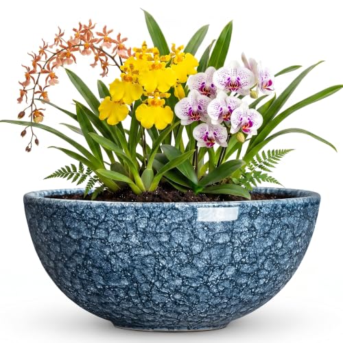 Bowl Planter, 12 Inch Ceramic Succulent Planters, Scale Blue | Round Bonsai Tree Pots with Drainage Hole, Shallow Planter for Indoor Plants Outdoor, Bathroom Decor, Gifts for Gardeners - color: Scale Blue-1, size: 12 Inch
