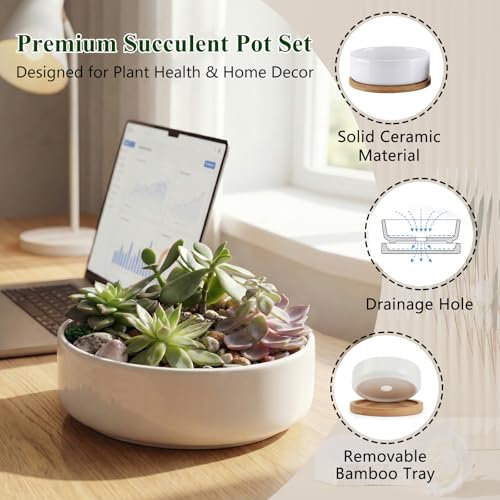ZOUTOG Succulent Pots,6 Inch Succulent Planters with Drainage and Tray,White Ceramic Planters for Indoor Plants,Round Flower Plant Pots,Pack of 4 - color: 4 Pack
