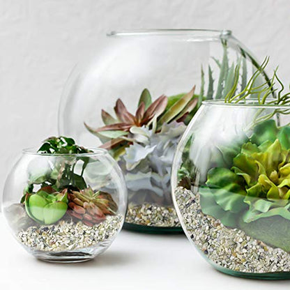Succulent and Cactus Bonsai DIY Rocks, Jade Bean Pebbles, Natural Decorative Polished Stones Vase Fillers Gravel for Plants，Terrarium, Fairy Gardening, Indoor Outdoor Decor Ornamental Stones.