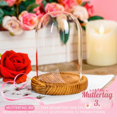 Cloche Glass Dome with Wooden Base, Glass Display Dome Bell Jar 5.1" | Fits collectibles under 5.1" tall, crystal-clear glass, sturdy wood base, dust protection, ideal for gifts and décor