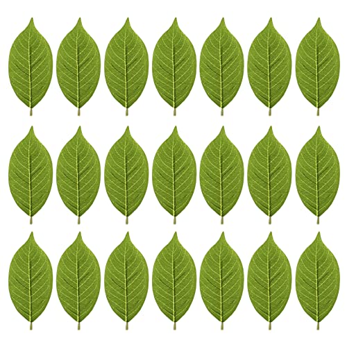 Healifty 50 Pcs Artificial Magnolia Leaves, Fake Plant Leaves for Decor - color: Green, size: 18.50X7.80X0.10CM
