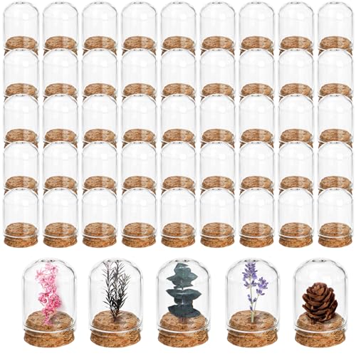50 Pack Cloche Bell Jar, Mini Glass Jars with Cork Lids, 8ml Glass Dome Cloche with Base, Decorative Display Dome for Specimen, Flower Storage, Arts Dispaly, Party Favor