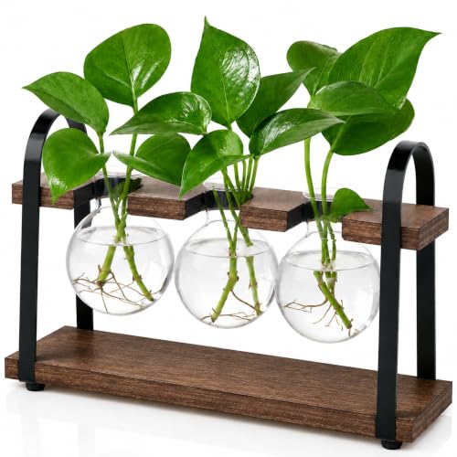 THYGIFTREE 3-Bulb Plant Propagation Station, Glass Vase Terrarium, Brown - color: Brown