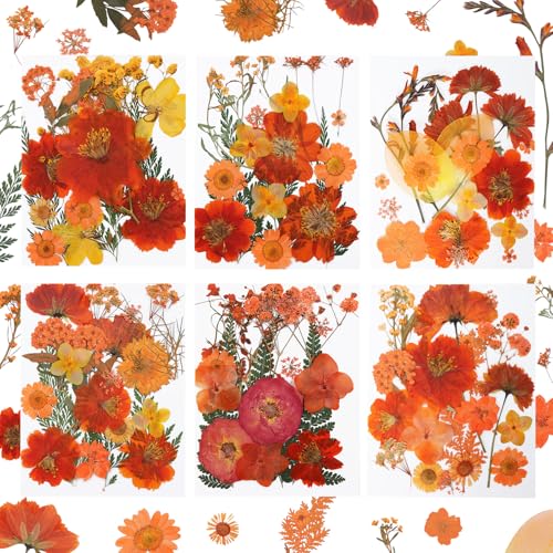 Dried Pressed Flowers Real Pressed Flowers Natural Dry Leaves Bulk Mixed Colorful Herbs Kit with Tweezers for Scrapbooking DIY Candle Jewelry Crafts Making Nails (Orange) - color: Orange
