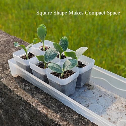 200 Pack 1.95 Inch Tiny Clear Plastic Square Nursery and Seedling Pot, Mini Transplant Seed Starter Planter with Drain Hole for Germination, Herb, Succulent - color: Clear, size: 1.95 inch