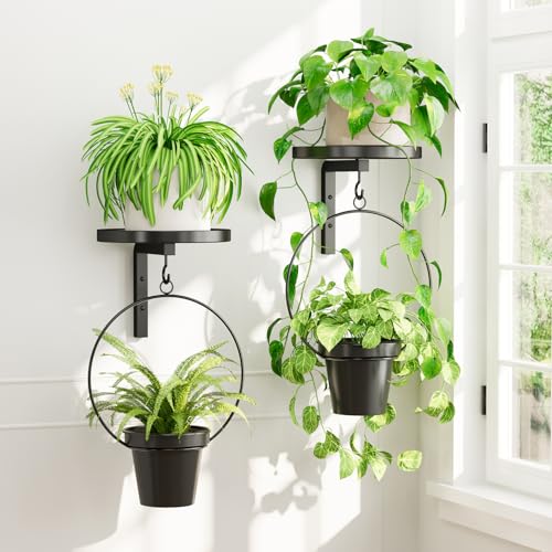 iDavosic.ly Plant Wall Hanger Set of 2 with 2 Metal Hanging Planters, Black - color: Black with 2 Pots, size: 2 Pack