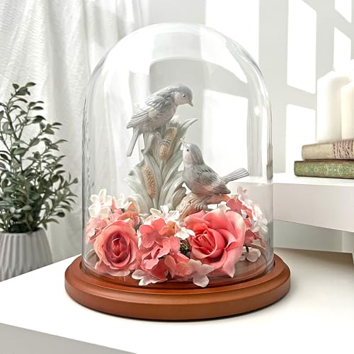Plymor 8" x 10.25" Glass Display Dome Cloche (Walnut MDF Base) - color: Walnut Mdf Base