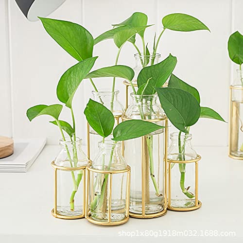 Flower Vases with 6 Bottle Crystal Clear Glass Flower Vase with Metal Stand Propagation Station Plant Display Holder Set for Home or Wedding Décor