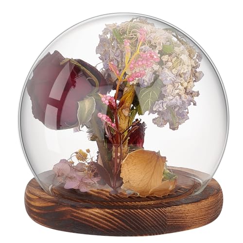 PH PandaHall Glass Cloche Dome Clear Globe Display Dome with Wood Base Decorative Glass Display Case for Plant Flower Stone Models Butterfly Display Home Party Decoration 4.7x4.5inch