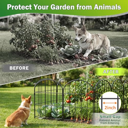 24in (H) x 11ft (L) Decorative Garden Fence Panels 10 Pack No Dig Fencing, Rustproof Metal Wire Garden Fence Border, Small Animal Barrier Fence for Dog - size: 10.83 ft(L) X 24 in(H) ,10 pack