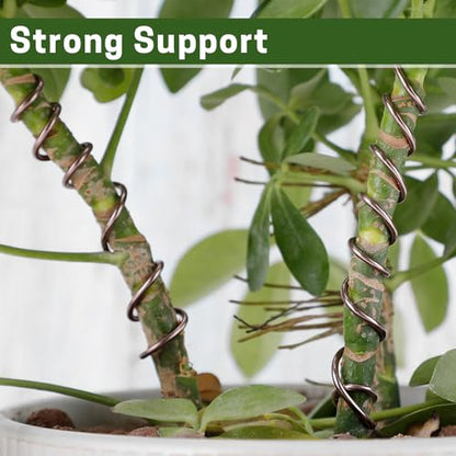 Bonsai Wire Kit 4 Rolls, 64Ft Aluminum Bonsai Training Wire Set | Bonsai Wire Set for Holding Branches 1.0MM, 1.5MM, 2.0MM - color: 16 Ft × (Green+Brown)