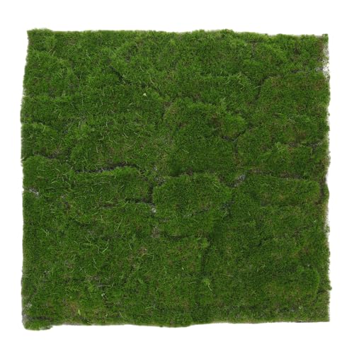 Artificial Moss Mat Fake Moss Sheet for Crafts Decorative for Garden Decor Indoor Outdoor Home Decorating Fairy Projects 11.81 X 11.81 X 0.19 in
