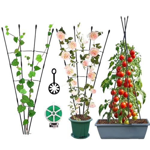 Garden Trellis for Climbing Plants, 2 in 1 Plant Trellis Rustproof Metal Pipe with Plastic Coated, 4Ft Plant Support for Potted Plant Outdoor Indoor, Plant Cages & Supports for Vines,1Pack - size: 1Pack