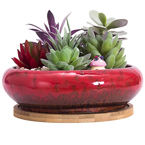 Succulent Pots with Drainage, 7.3 Inch Ceramic Bonsai Pots for Plants | Large Shallow Plant Pot Round Decorative Cactus Flower Plant Container - color: Red