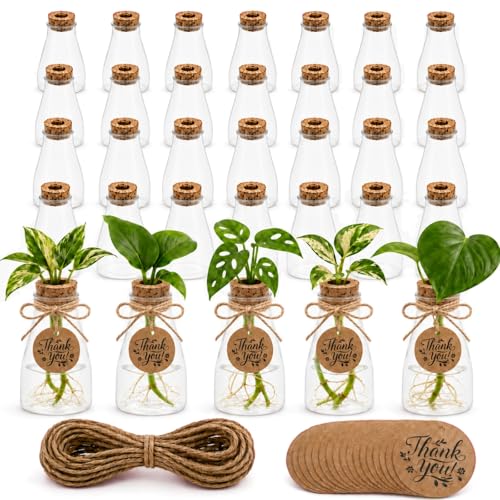 30 Pack Plant Propagation Stations, 3.35" Clear Plastic Propagation Jars with Hole Cork Lids, Thank You Tags & Jute Rope, Mini Vases Gifts for Plant Lovers, Wedding Party Favors & Table Decor