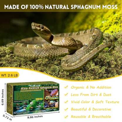 Riare 2.6lb Natural Sphagnum Moss for Reptiles, Terrarium Substrate Bedding | High Expansion, Moisture Retention, Helps Shedding, Long Fibered Dried Moss for Leopard Gecko, Snake, Frog, Turtle - color: 2.6 LB