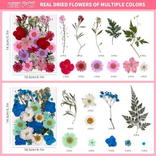 Pressed Dried Flowers Kit – Real Florals for Scrapbooking, Resin Art, Jewelry, Nail Art, and DIY Crafts with Decorative Leaves
