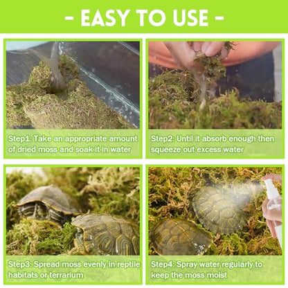 Riare 1.3lb Natural Sphagnum Moss for Reptiles, Terrarium Substrate Bedding | High Expansion, Moisture Retention, Helps Shedding, Long Fibered Dried Moss for Leopard Gecko, Snake, Frog, Turtle - color: 21 OZ