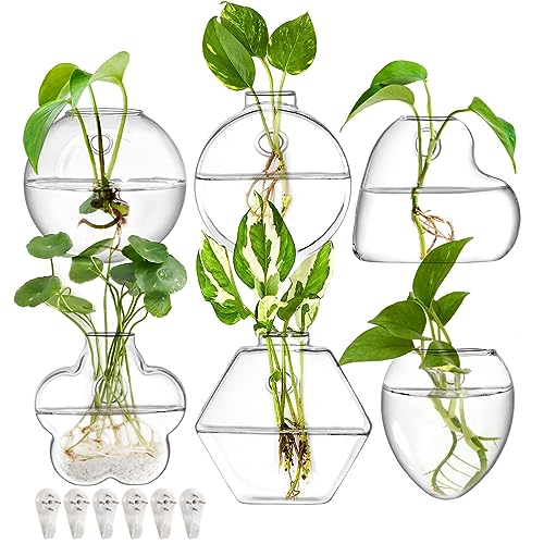 yarlung Set of 6 Wall Hanging Planter Terrarium, Clear Glass Plant Vase Wall Mount for Propagating Hydroponics Plant, Indoor Air Plants, Stylish 6 Shapes (Plants Not Included)