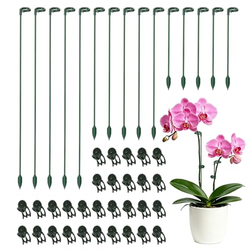 30 Sets Small Plant Stakes for Indoor Plants, 3 Size 6.7/10.6/14.6 Inches