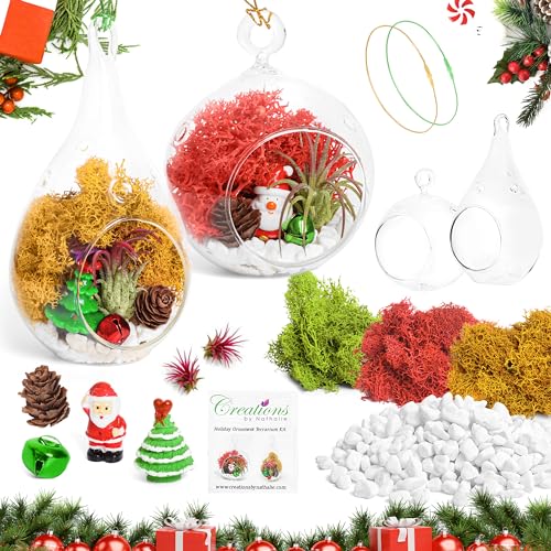 Creations by Nathalie DIY Air Plant Terrarium Kit with Glass Terrariums | DIY air plant terrarium kit with glass terrariums, moss, and decorative supplies for creating indoor displays with air plant. - size: Glass Globe + Glass Teardrop Ornament