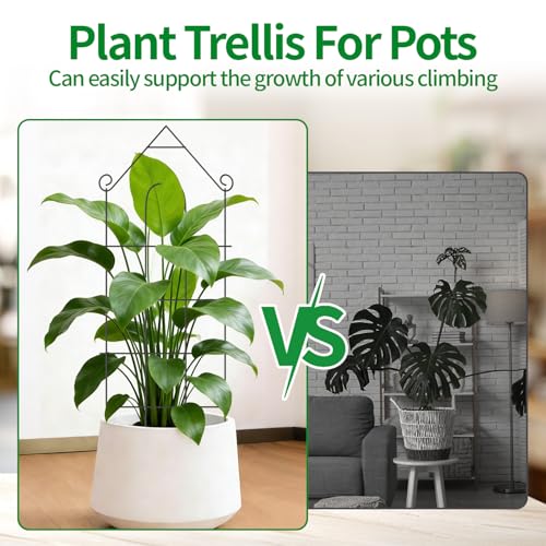 32" Plant Trellis, 6 Pack Metal Garden Trellis for Potted Plants Indoor/Outdoor, Rust-Proof Sturdy Steel Trellis for Climbing Plants, Monstera, Tomatoes, Cucumbers - size: 6Pack -32 inch house shape