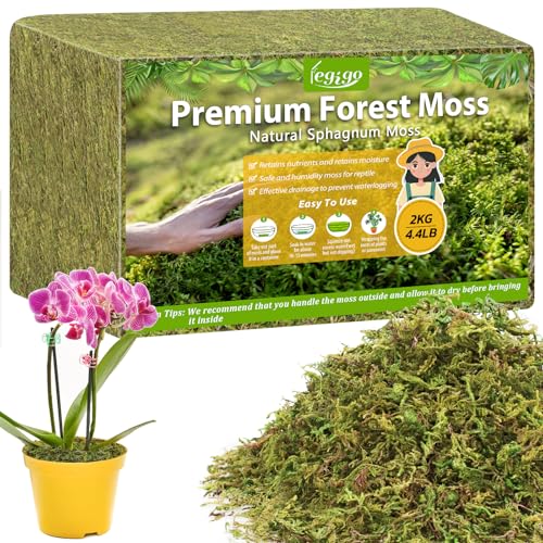 Legigo 4.4LB Sphagnum Moss for Plants, 80QT Natural Long Fiber Orchid Moss - size: 4.4LB
