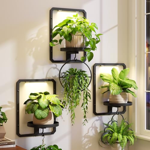 iDavosic.ly Wall Plant Picture Frame Holder Set of 3 & 3 Grow Lights, Black - color: Black with 3 Lights, size: Rectangular