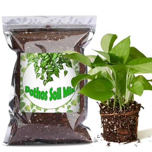 Doter Organic Pothos Soil Mix 10qt, Indoor Plants Potting Mix for All Potted Pothos, Grow Healthy houseplants Indoors - size: 10qt