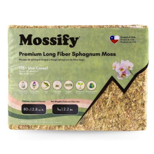 Mossify Sphagnum Moss for Plants, 1kg 2.2 lbs | Long Fiber Moss, Indoor, Orchids, Terrariums, Gardening, Reptiles, Moisture Plant, Propagation, Soil, Habitat Bedding - size: 1kg (2.2 lbs)