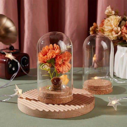 BENECREAT 2 Pcs Glass Display Cloche, 2.8x5.1 inches Bell Jar Dome with Cork Base, Display Dome Glass for Flower, Plant, Miniature and Craft, Home Decoration, ID: 2.6 inches - size: 2.8x5.1 Inch