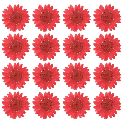 PATIKIL 48 Pcs Dried Pressed Flower Natural Dried Daisy Flower for DIY Art Crafts House Decoration Nails Decoration,Deep red - color: Deep Red