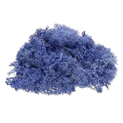 Preserved Reindeer Moss, 4 OZ Fake Moss for Crafts Artificial Dried Moss for Decoration, Craft, Terrariums, Potted Plants, Centerpieces Fairy Gardens (Purple)