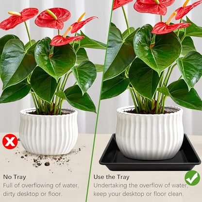 4 Pack 12 Inch Square Plant Saucer, Plant Drip Trays and Flower Pot Saucers, Plant Trays for Indoors No Holes, Plant Drainage Tray Saucers for Potted Plants (Black)