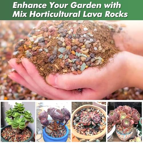 11 Pounds Mix Horticultural Lava Rocks, 5-8 mm Lava Rocks for Plants, Bonsai Rocks Horticultural Grit Soil Cover Gravel for Succulents and Hydroponics, Fairy Gardening, Top Dressing, Plant Drainage - size: 0.2-0.3 inch, style: Mix lava/ 11 pounds