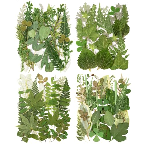 95Pcs Real Pressed Dried Leaves for Resin, 35 Styles Natural Dry Leaf for DIY Crafts, Green Dried Leaves for Epoxy Molds Jewelry, Candle, Bookmarks,Soap Making, Card Scrapbook - size: 95Pcs Dried Leaves