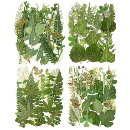 95Pcs Real Pressed Dried Leaves for Resin, 35 Styles Natural Dry Leaf for DIY Crafts, Green Dried Leaves for Epoxy Molds Jewelry, Candle, Bookmarks,Soap Making, Card Scrapbook - size: 95Pcs Dried Leaves